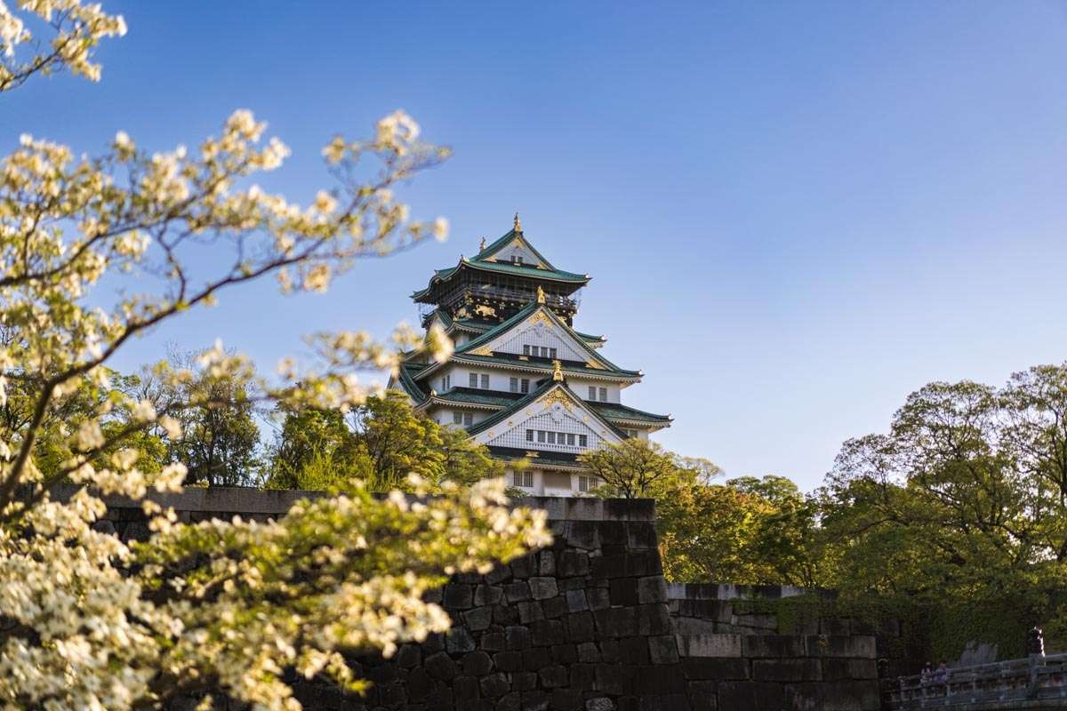 osaka-1769046826.jpg